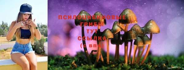 марки lsd Беломорск