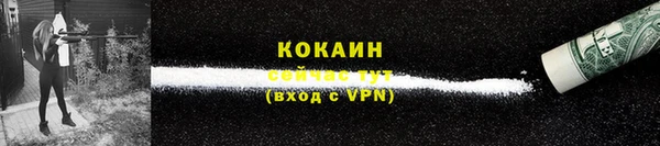 твердый Белокуриха