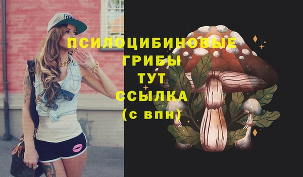 твердый Белокуриха