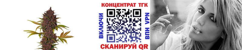 Дистиллят ТГК гашишное масло  Мглин 