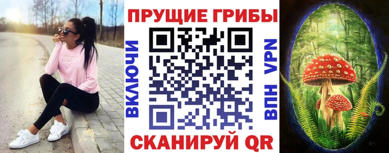 купить наркотики цена  Мглин  Псилоцибиновые грибы ЛСД 